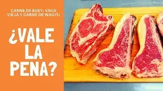 Chuletón de buey (Pepe Chuletón) Vs Vaca Vieja - 150 Días de maduración-30 días de maduración