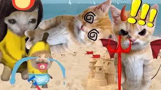 BANANA CAT BABY 🐱 HAPPY AND 😿 CRY VIDEOS 😭 2 ( 1 HOUR ) 
