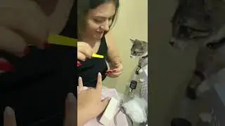 A GATA QUER LIXAR  A UNHA