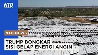 Kritik Tajam Trump Pada Energi Angin: Mahal, Merusak, dan Ketergantungan China