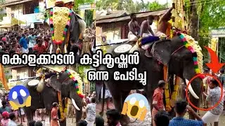 Kolakkadan Kuttikrishnan Elephant attack 2020  കൊളക്കാടൻ കുട്ടികൃഷ്‌ണൻ ആന പേടിച്ചു