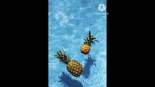 Balkan Type Beat "Crne Occi"