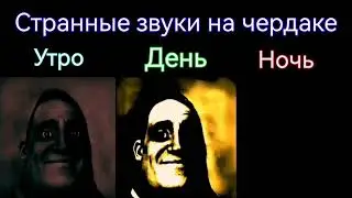 День vs Ночь 