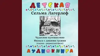 Чудесное путешествие Нильса с дикими гусями, Чт. 2