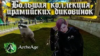 ОБЗОР - Большая коллекция ирамийских диковинок - ArcheAge 5.5.