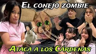 MI CONEJO SE CONVIERTE EN ZOMBIE