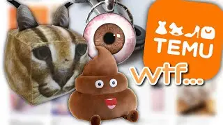 the weirdest stuff on temu