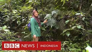 Para ibu rumah tangga penjaga hutan di Aceh - BBC News Indonesia