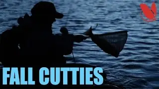 Fly Fishing Fall Cutthroat Trout