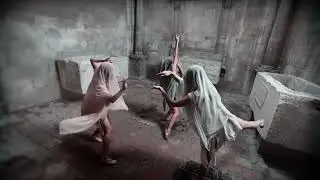 Déchâiné (Unleashed)