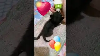 Какая она забавная 
