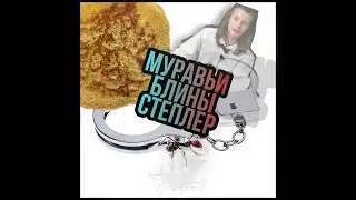 факты из Гугла выпуск 5