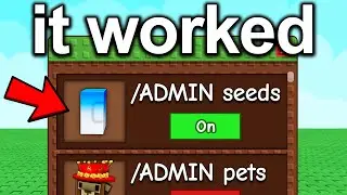 Begging Until I Get ADMIN Commands