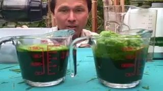 Juicing Wheatgrass in the Omega VRT 330 vs the Omega 8005 8006 Juice Off