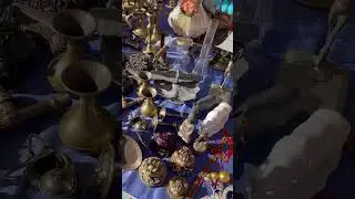 Блошка в Италии.