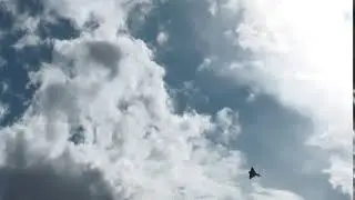 S1190012