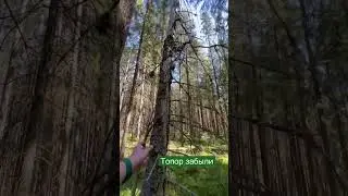 Забыли в лес топор?