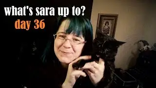 What's Sara up to? day 36
