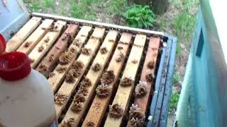 Превентивные меры против клеща - 