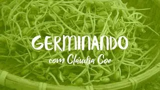 COMO GERMINAR E HIGIENIZAR OS GRÃOS + TABELA DE GERMINAÇÃO GRATUITA
