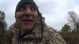 Пустынька дошел - Воришка Медведь и Очень ЗЛЫЕ Пчелы