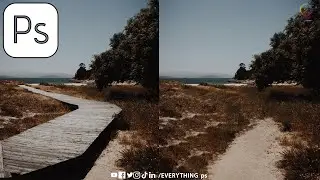 Remove a Large Object in Adobe Photoshop #21