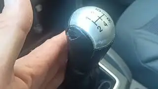 Обновка автопарка Ford focus