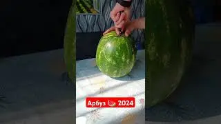 Арбуз 🍉 2024