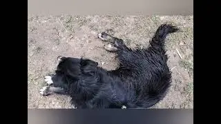 И СНОВА - ЗДРАВСТВУЙТЕ, БРОШКОЛЮБОВАТЕЛИ!❤️❣️
