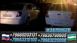 такси москва-ташкент такси москва-бухара каждый день прямой рейс #такси #россия #узбекистан
