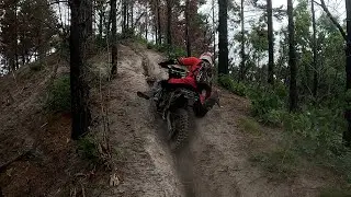 Последний день лета!