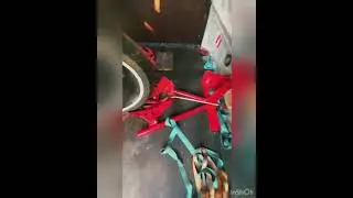 IMG 3533