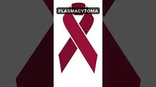 Myeloma and Multiple Myeloma | Cancer Education and Research Institute (CERI) 