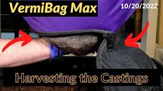 Vermibag Max - Harvest Time 10/20/2022