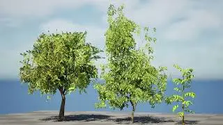 Native Tamarind 3D animation in unreal engine