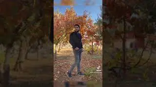 Arabesksin kralı