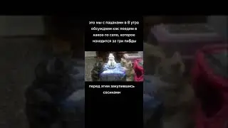 друзья #short #shorts