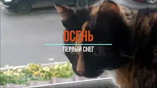 ОСЕНЬ.. ПЕРВЫЙ СНЕГ– МИР ПРЕКРАСЕН