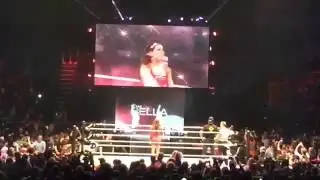 WWE Brie Bella Entrance In London