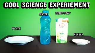 Simple Science Experiments [Must Watch]