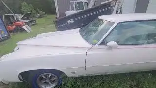 Car and build projects reveal