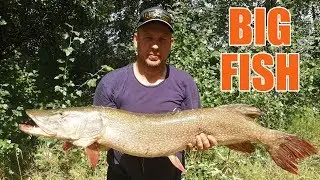 BIG FISH - ЩУКА 10.700кг Чемпионат Павлодарской области по спиннингу с лодок 2019 год