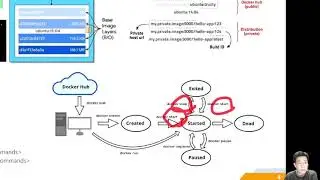 [K8s 03] Container Life Cycle