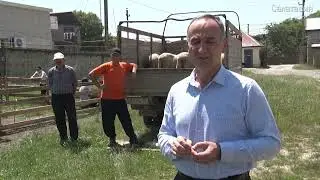 Помощь семьям погибших участников СВО к празднику Курбан-Байрам