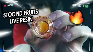 STOOPID FRUITS Live Resin - Rythm (Strain Review)