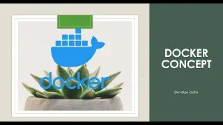 Docker full Concept on Dockerfile, Docker Network, Docker Compose