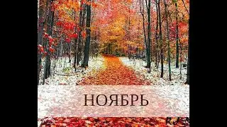 ПРОГНОЗ НА НОЯБРЬ/ ТАРО ПРОГНОЗ/Телеграм - https://t.me/lunamagicbox
