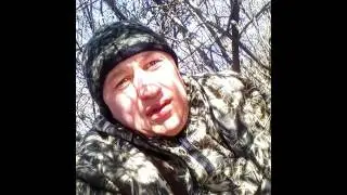 татары на охоте
