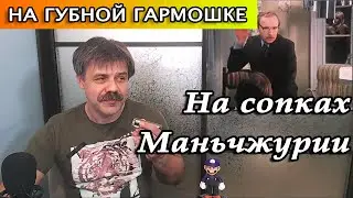 На сопках Маньчжурии на губной гармошке