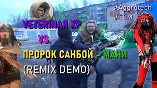 Veterinar XP vs Пророк Санбой - Мани (ДЕМО версия aggrotech ремикса)